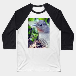 Echo the Lyrebird Baseball T-Shirt